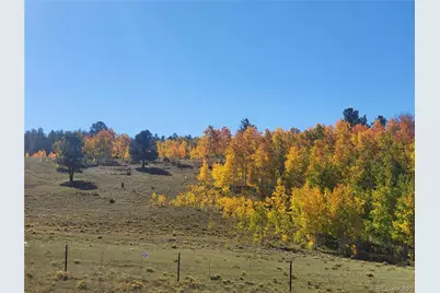 9389 Ranch Road, Hartsel, CO 80449 - Photo 6