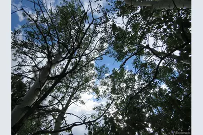 9389 Ranch Road, Hartsel, CO 80449 - Photo 28