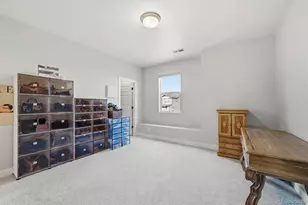 3069 Carabiner St, Castle Rock, CO 80108 - Photo 28