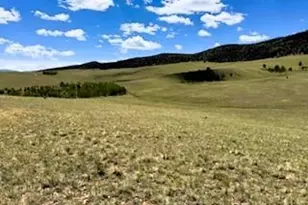 25 Sulky Ct, Hartsel, CO 80449 - Photo 1