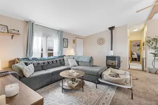 13939 Meadow Ln, Buena Vista, CO 81211 - Photo 8