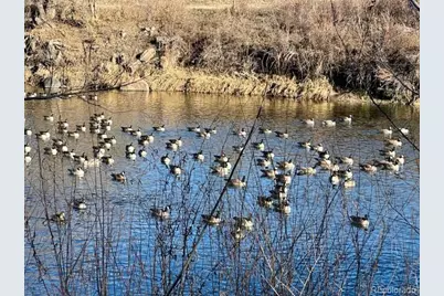 1915 S Galapago Street, Denver, CO 80223 - Photo 40