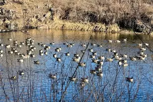 1915 S Galapago St, Denver, CO 80223 - Photo 40