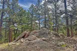 111 Sioux Trail, Westcliffe, CO 81252 - Photo 24