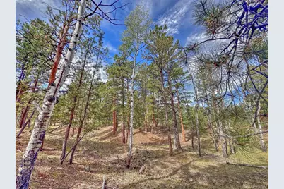 111 Sioux Trail, Westcliffe, CO 81252 - Photo 26