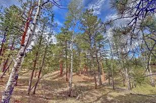 111 Sioux Trail, Westcliffe, CO 81252 - Photo 26