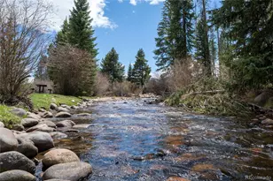 59 River Dr, Winter Park, CO 80482 - Photo 10