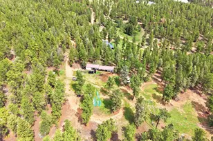 325 Rd D, Pine, CO 80470 - Photo 28
