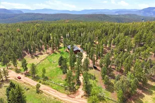 325 Rd D, Pine, CO 80470 - Photo 32