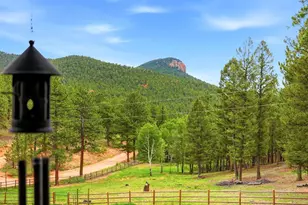 325 Rd D, Pine, CO 80470 - Photo 38