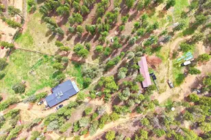 325 Rd D, Pine, CO 80470 - Photo 40