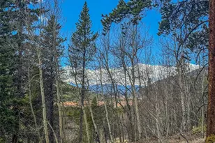 Buckeye Gulch Rd, Leadville, CO 80461 - Photo 1