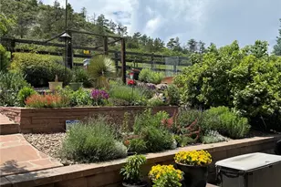 7191 Red Mesa Dr, Littleton, CO 80125 - Photo 46