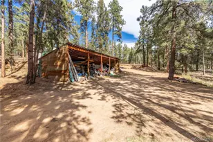 318 Rd D, Pine, CO 80470 - Photo 12