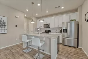 2990 Low Meadow Blvd, Castle Rock, CO 80109 - Photo 4