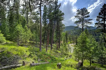 6875 Lynx Lair Road, Evergreen, CO 80439 - Photo 12