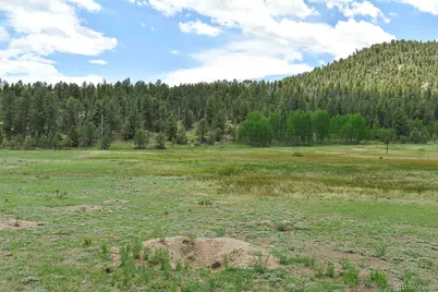 729 Valley Drive, Guffey, CO 80820 - Photo 12