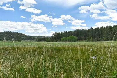 729 Valley Drive, Guffey, CO 80820 - Photo 1