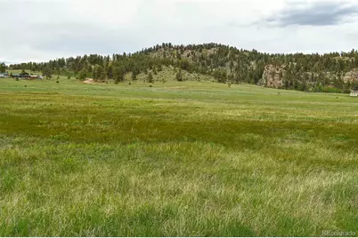 729 Valley Drive, Guffey, CO 80820 - Photo 6