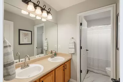 10696 Riverbrook Circle, Highlands Ranch, CO 80126 - Photo 20