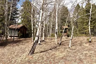 2121 Cr 1, Florissant, CO 80816 - Photo 26