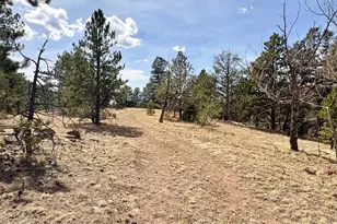 2121 Cr 1, Florissant, CO 80816 - Photo 32
