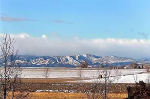 2122 Pineywoods St, Mead, CO 80542 - Photo 44