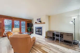 091300 Ryan Gulch Road, Silverthorne, CO 80498 - Photo 10