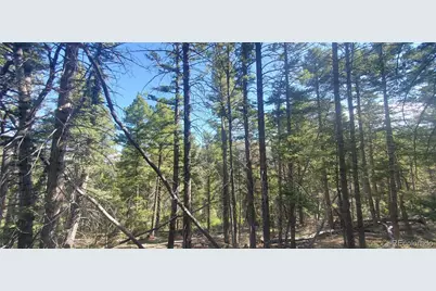 Lot 5273 Vivian Road, Fort Garland, CO 81133 - Photo 2