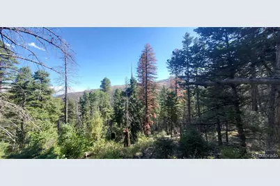 Lot 5273 Vivian Road, Fort Garland, CO 81133 - Photo 6