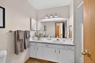 8093 S Vermejo Peak, Littleton, CO 80127 - Photo 38