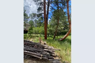 1025 Tenderfoot Drive, Larkspur, CO 80118 - Photo 4