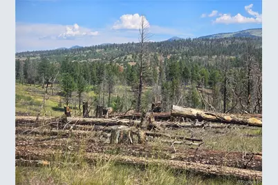695 Cogbill Drive, Fort Garland, CO 81133 - Photo 4