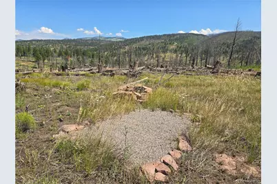 695 Cogbill Drive, Fort Garland, CO 81133 - Photo 2