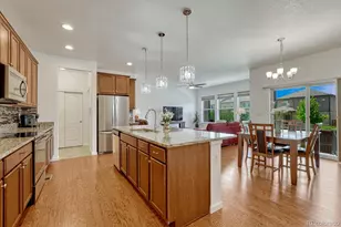 11791 Barrentine Loop, Parker, CO 80138 - Photo 10