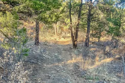 13240 Big Pine Ridge Road, Weston, CO 81091 - Photo 34