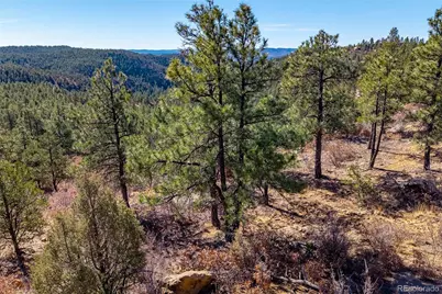 13240 Big Pine Ridge Road, Weston, CO 81091 - Photo 46