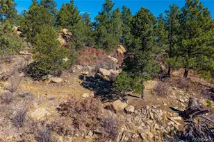 13240 Big Pine Ridge Rd, Weston, CO 81091 - Photo 44