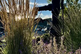 554 Sage Grouse Cir, Castle Rock, CO 80109 - Photo 44