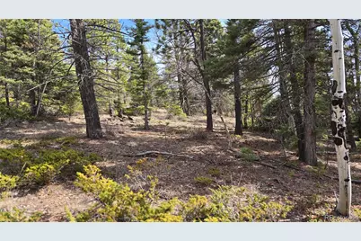 Lot 6070 Vreeland Road, San Luis, CO 81152 - Photo 14