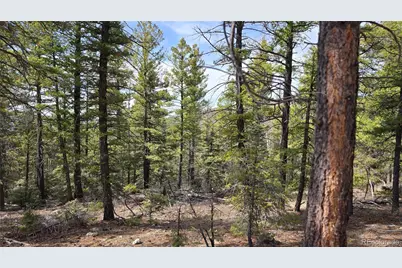 Lot 6070 Vreeland Road, San Luis, CO 81152 - Photo 10