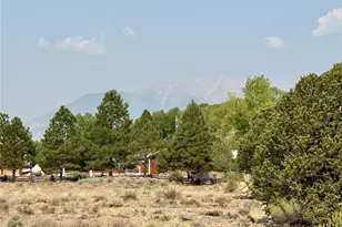 10795 Co Rd 197A, Nathrop, CO 81236 - Photo 6