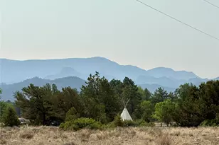 10795 Co Rd 197A, Nathrop, CO 81236 - Photo 4