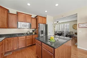 5698 Gore Range Way, Golden, CO 80403 - Photo 12
