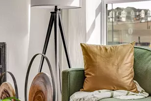 825 Trumpet Ln, Windsor, CO 80550 - Photo 12