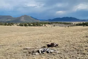 1194 Yellowstone Rd, Hartsel, CO 80449 - Photo 1