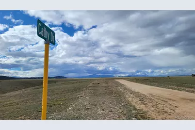 1194 Yellowstone Road, Hartsel, CO 80449 - Photo 4