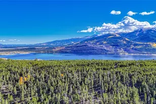 361 Birch Dr, Twin Lakes, CO 81251 - Photo 34