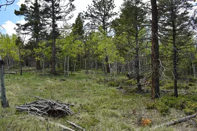 55 Aspen Way Drive, Guffey, CO 80820 - Photo 18