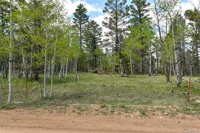 55 Aspen Way Drive, Guffey, CO 80820 - Photo 12